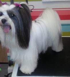 Poochilicious dog grooming