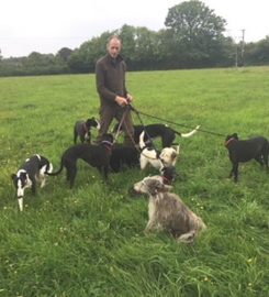 The London Dog Lady – Dog Trainer & Behaviourist