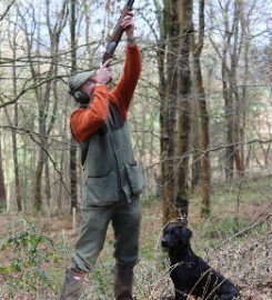 Geoff Shore Gundogs