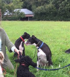 The London Dog Lady – Dog Trainer & Behaviourist