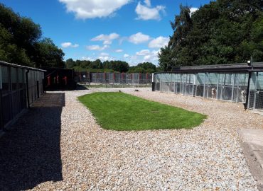 Moss Cottage Kennels & Cattery