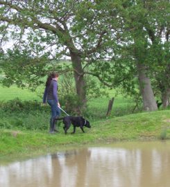 Nant y Corn Doggie Day Care and Boarding Kennels