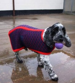 Tomlinsons Boarding Kennels & Canine Centre