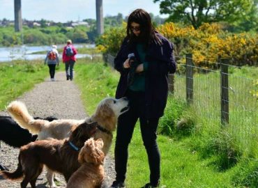 natalie's dog walking: bishopton & clydebank