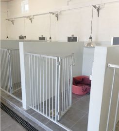 Valentine Boarding Kennels