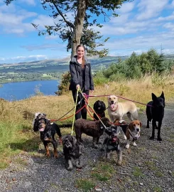 Lakeland Dog Walker