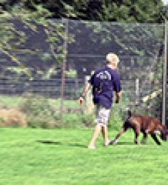 Lough House Boarding Kennels