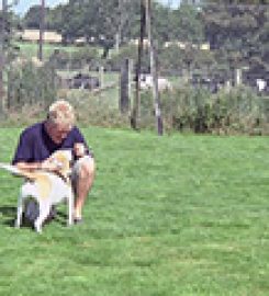 Lough House Boarding Kennels