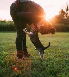 Poise Dog Training