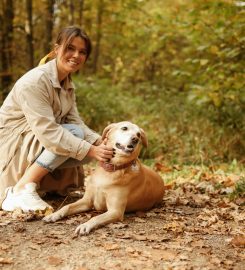 Poise Dog Training