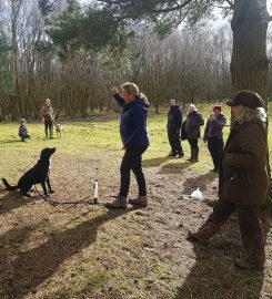 Polite Paws Dog Training