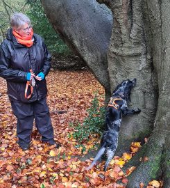 Polite Paws Dog Training