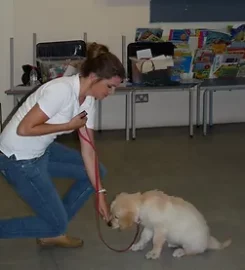 Puppy Poppins Dog Training