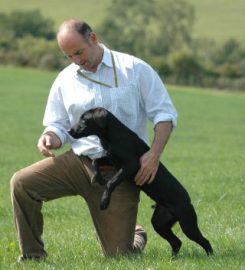 Geoff Shore Gundogs