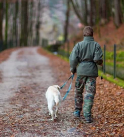 Kent Dog Training