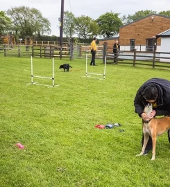 Ranworth Lodge Kennels