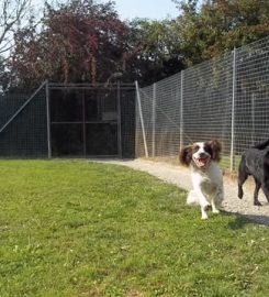 Old Orchard Farm Boarding Kennels