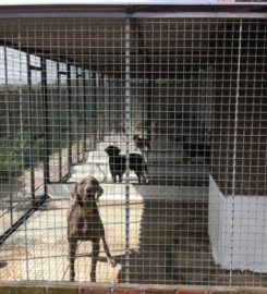 Astleys Farm Boarding Kennels