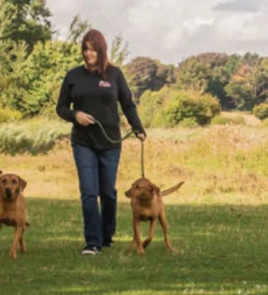 We Love Pets Blackburn – Dog Walker, Pet Sitter & Home Boarder