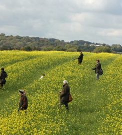 Geoff Shore Gundogs