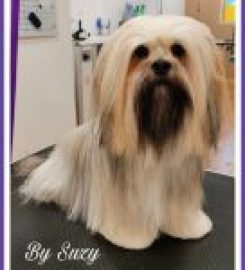 Beautipets Dog Grooming & School