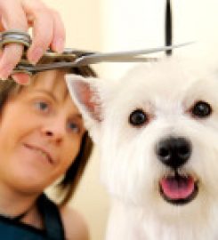 Beautipets Dog Grooming & School