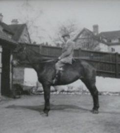 Bishops Stortford Veterinary Hospital