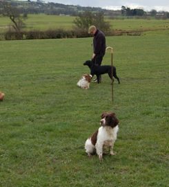 Edencroft Boarding Kennels and Cattery