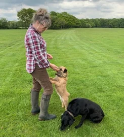 High Heys Farm Kennels and Cattery