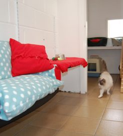 Oakdale Cattery