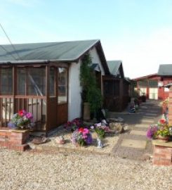 Posh Paws Cattery