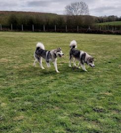 Cottage Boarding Kennels and Cattery