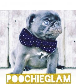 Poochiepads.glam