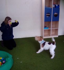 Chetwynd Firs Boarding Kennels & Cattery