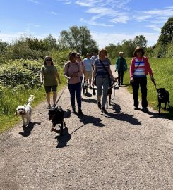 Sue's Dog Walking – Tamworth & Swadlincote