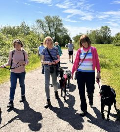 Sue's Dog Walking – Tamworth & Swadlincote