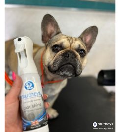 Mutneys Professional Pet Care