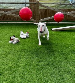 Glenbrittle Kennels and Cattery