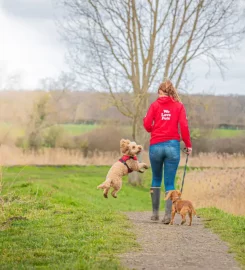 We Love Pets Kidderminster – Dog Walker, Pet Sitter & Home Boarder