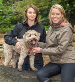 Hampstead Housesitters / Hampstead Hounds