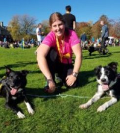 Beacon Barkers Pet Services – Yardley, Olton, Solihull