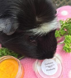 Jack's Pad Guinea Pig Boarding