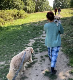 Auntie Fleur – Dog Walking & Sitting