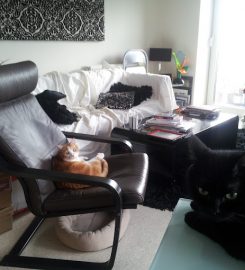 Sally & Jonny, Lovely Cat Sitters and House Sitters in Central London