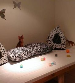 Aristocats Luxury Cattery