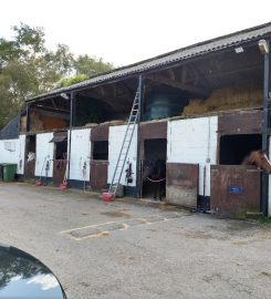 Reed House Cattery and Kennels