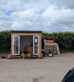 Reed House Cattery and Kennels