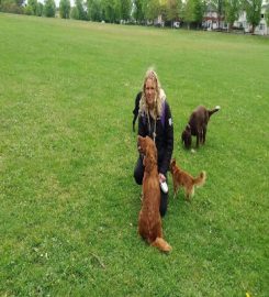 Tanya's Happy Hounds Dog Walking (Bournemouth Dorset)