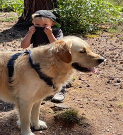 Bark In The Park Dog Walking