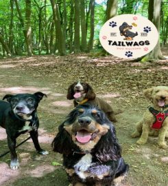 Tailwags Dog Walking